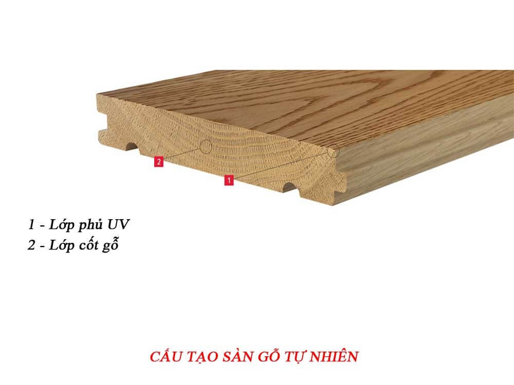 Cấu tạo ván sàn gỗ tự nhiên